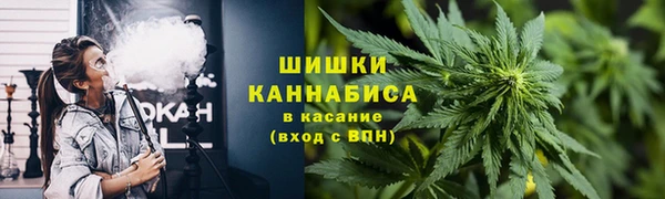 ПСИЛОЦИБИНОВЫЕ ГРИБЫ Киреевск