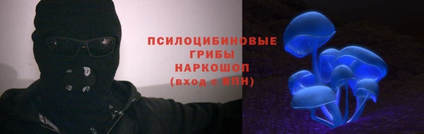 ПСИЛОЦИБИНОВЫЕ ГРИБЫ Киреевск