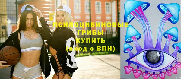 ПСИЛОЦИБИНОВЫЕ ГРИБЫ Киреевск