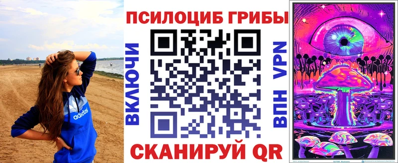 Псилоцибиновые грибы MAGIC MUSHROOMS  Купить закладки  Бокситогорск 
