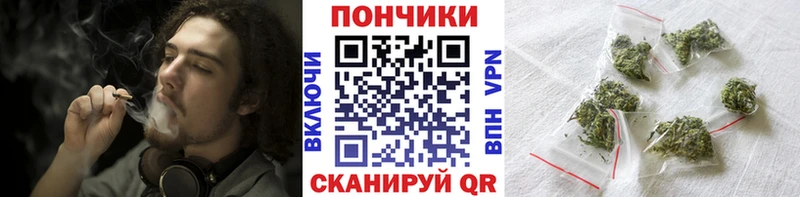 Бошки Шишки THC 21%  Купить  Бокситогорск 